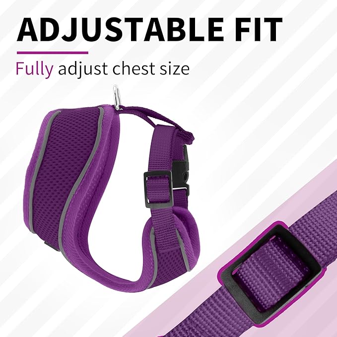 AIITLE Reflective Dachshund Harness, Soft No-Pull Design, Breathable 3-Layer Mesh for Medium Dogs, Adjustable Fit for Hiking, Training – Fits Pugs, Bichon Frise (XL, Purple)