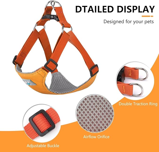 Beirui Small Dog Harness and Leash Set, No Pull Step-in Harness for Puppy, Lightweight Air Mesh Pet Harness for Small Dogs (Yellow, XS)