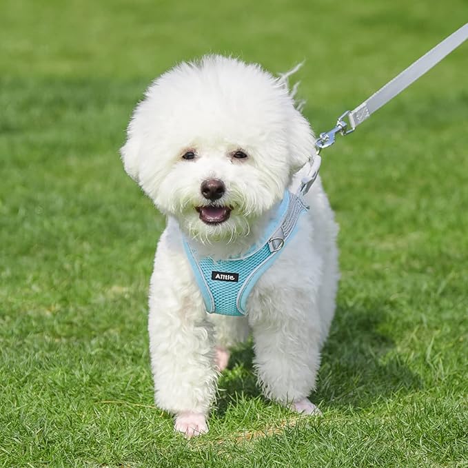 AIITLE Escape Proof Dog Harness - Step in Adjustable Dog Harness No Choke Over with Breathable Mesh and Quick-Release Buckle for Summer- Outdoor Walking, Camping, Training for Medium Dogs Blue XL