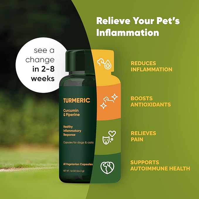 Rooted Owl Turmeric - Turmeric Supplement for Dogs and Cats - with Curcumin, Piperine and Vitamin C for Anti-Inflammatory Relief - 60/ct