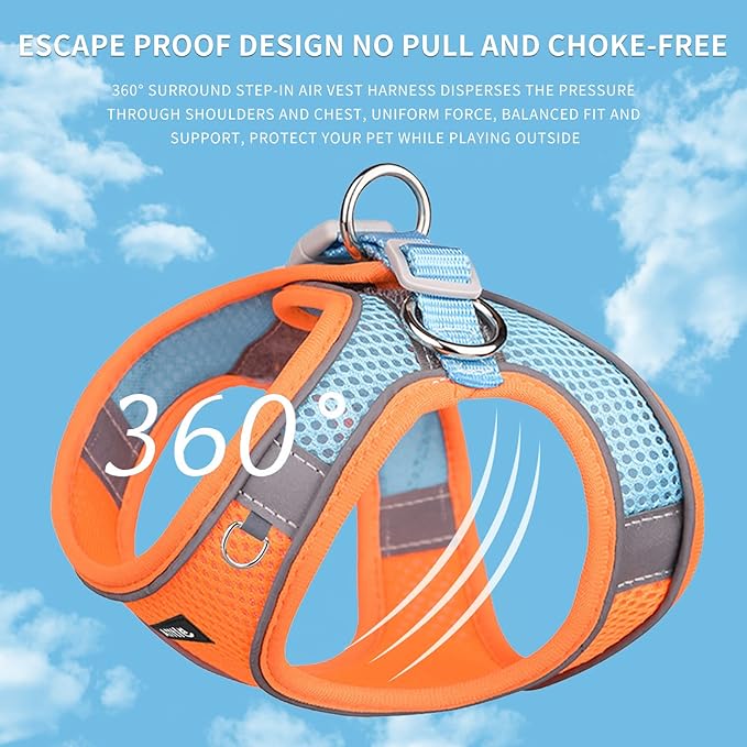 AIITLE Comfortable Dog Harness and Leash Set for Walking - Summer Step in Vest Harness,Reflective Bands, Adjustable No Pull Puppy Essentials, for Small Dogs and House Cats Orange XS