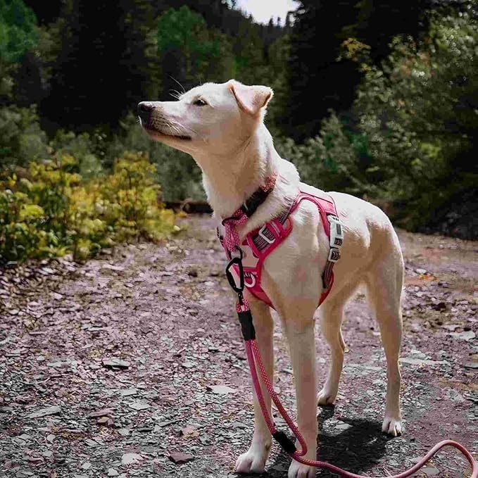 AUROTH Tactical Dog Harness for Small Medium Large Dogs No Pull Adjustable Pet Harness Reflective K9 Working Training Easy Control Pet Vest Military Service Dog Harnesses (XL, Pink Camo)