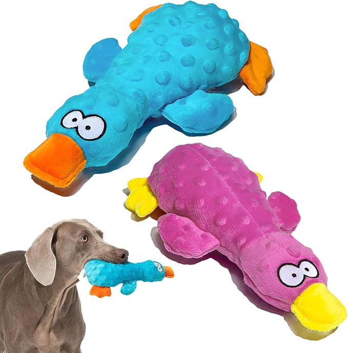 Adpartner Plush Squeaky Dog Toys, 2 Pack Squeak Duck Stuffed Squeaky Toys for Small, Medium Dogs to Keep Them Busy, Interactive Crinkle Dog Toys Soft Pet Chew Toy for Training and Reduce Boredom