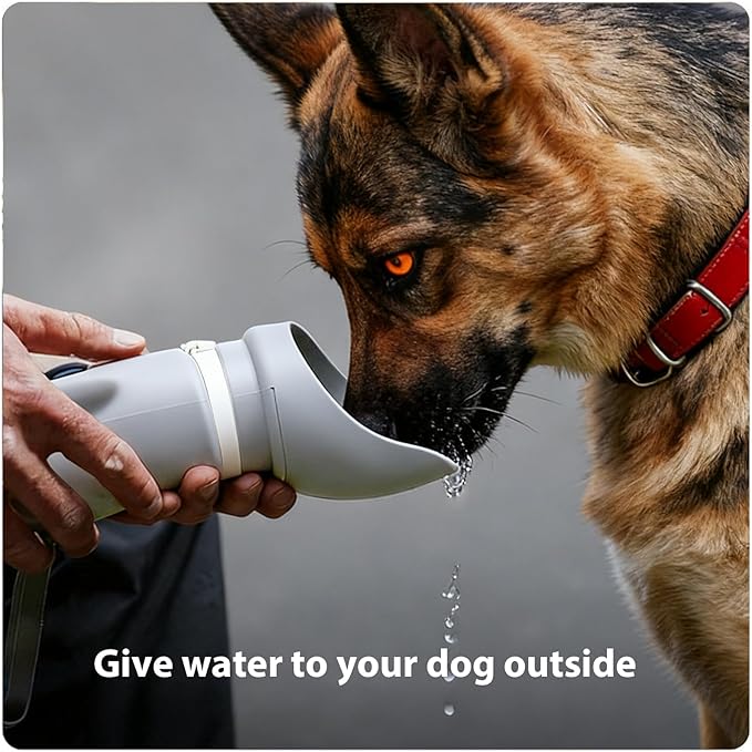 Portable Dog Water Bottle, 2-in-1 Leak Proof & Collapsible Silicone Pet Dispenser with Built-in Bowl, Food Grade Travel Cup for Walking, Hiking (19oz/550ml, Gray)