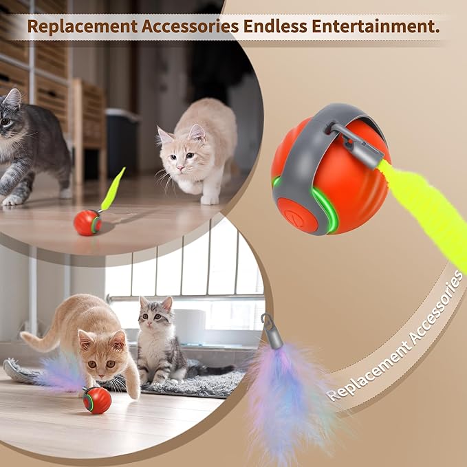 Interactive Cat Toy Ball-Motion-Activated Rolling Toy with 2 Feather Tails, 2 Speeds, USB Rechargeable, Smart Indoor Cat Toys to Keep Cats Active, Happy and Entertained (Orange)