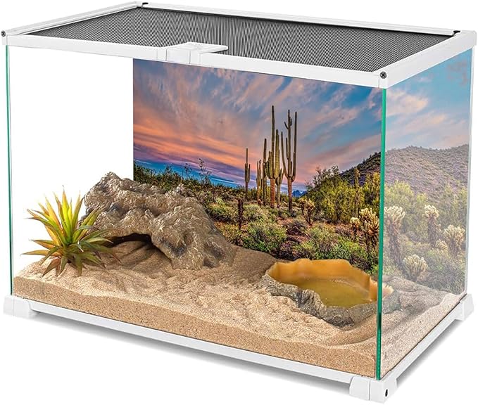 AWERT 30x18 inches Terrarium Background Blue Sky Cloud Huge Cactus Oasis Gobi Reptile Habitat Background Vinyl