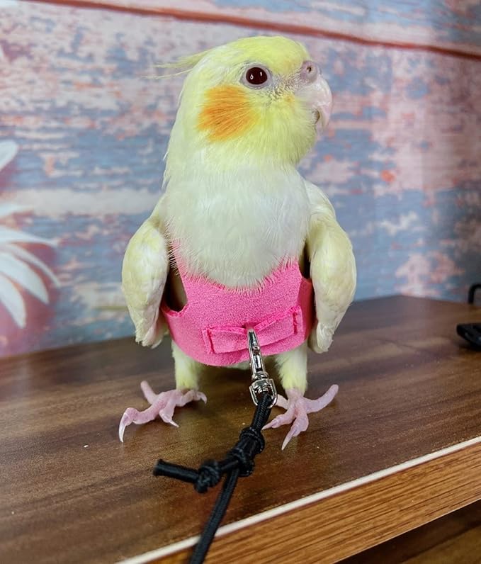 Bird Flight Harness Vest, Parrot Flight Suit with Leash for Parakeets Cockatiels Conures Budgies, Bird Flying Clothes with Rope and Handle for Outdoor Activities Training (M, Pink)