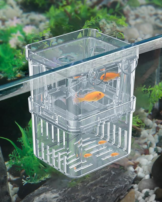 Pawfly Small Aquarium Fish Breeding Box for Fry Hatchery, Shrimp & Aggressive Fish Isolation