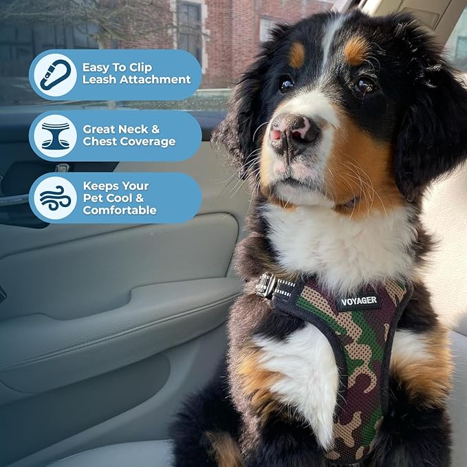 Best Pet Supplies Voyager Mesh Dog Breathable Harness Reflective Stitching, All Weather Adjustable for Walking Training, or Running - Heavy Duty & Durable, Harness Leash Set (Army Base), M