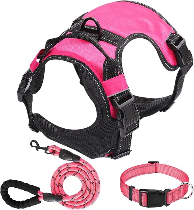 Dog Harness Set, No Pull Dog Vest Harness and 5ft Leash & Collar for Small Medium Sized Large Dog Cat,Adjustable Soft Nylon Padded Dog Vest Reflective Front Clip Vest with Easy Handle -Pink L