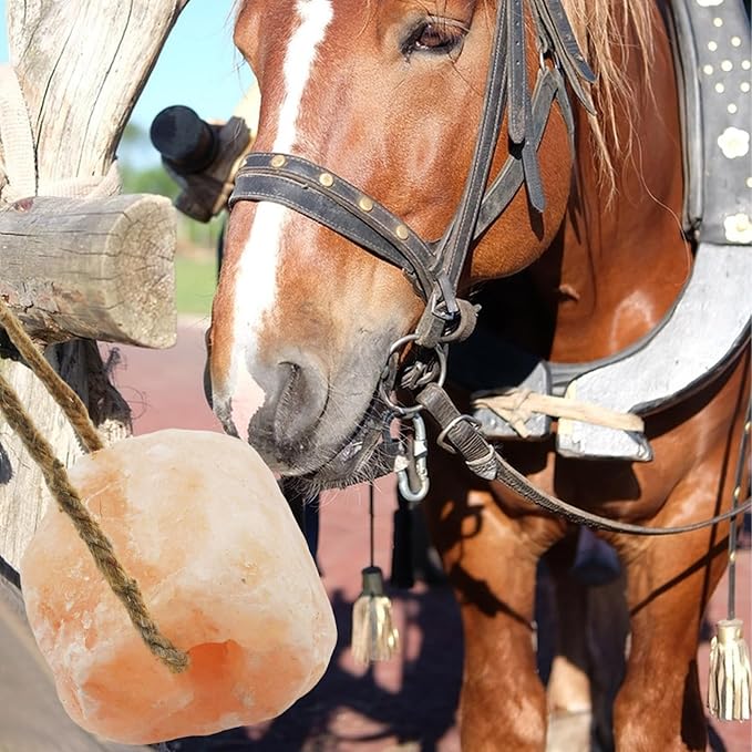 3 Pack Himalayan Salt, Lick Natural Mineral Block Rope Long-Lasting Raw Pink Salt Lick Suitable for Horses, Deer, Cattle, Goats and Other Livestock(7.2-9.9LBS)