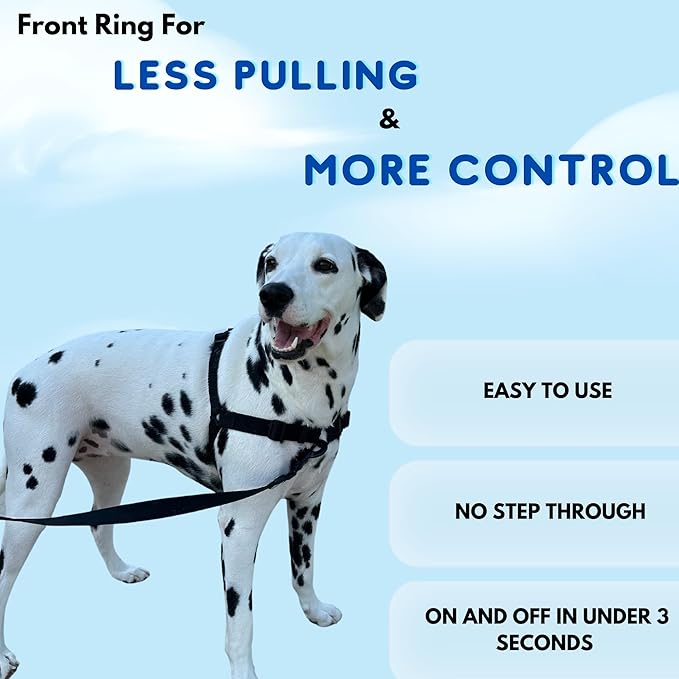 ShawnCo Dream Walk No-Pull Dog Harness- Adjustable, Comfortable, Easy to Use Pet Halter to Help Stop Pulling for Small, Medium and Large Dogs (Seafoam, L)