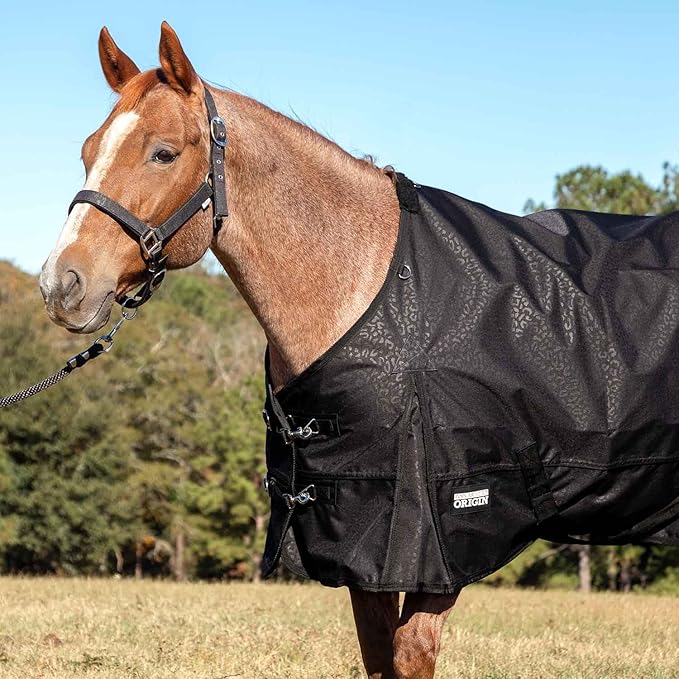 Jeffers Poplar Head 600 Denier Turnout Sheet for Horses, 0g Polyfill, 66"- Waterproof, Windproof Lightweight Horse Blanket, Adjustable Chest Belly Straps, Tail Flap, Stable Blanket - Covert Cheetah
