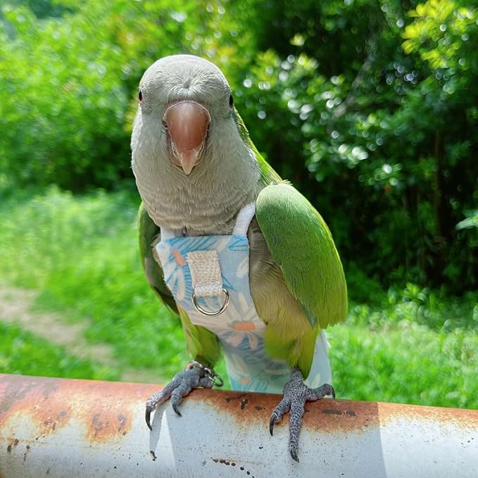 Snap-Closure Parrot Diapers with Adjustable Leash - Washable Bird Flight Suits for Cockatiels, Sun Conures & Quaker Parrots Secure & Chew-Resistant (S – Peachfaced Lovebird + 1m Rope)