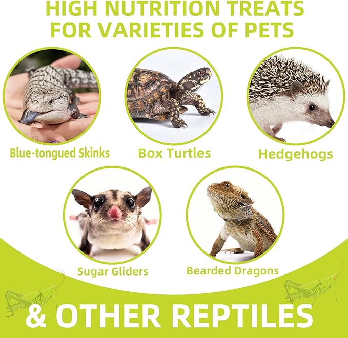 Freeze Dried Grasshoppers – 4.5 Oz High Protein Freeze Dried Grasshoppers for Reptiles, Food for Bearded Dragons Lizards, Geckos, Birds, Hedgehogs