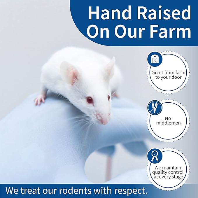 MiceDirect 150 Frozen Mice Combo Pack of 75 Weanlings and 75 Small Adult Feeders Snake Food for Mice for Adult Sand Boa Corn Milk Snakes (2-3 in)(Pack of 150)(2400 Grams Min)