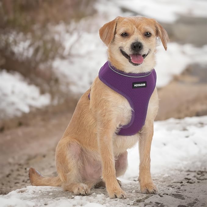 Best Pet Supplies Voyager Mesh Dog Breathable Harness Reflective Stitching, All Weather Adjustable for Walking Training, or Running - Heavy Duty & Durable, 220 Style (Purple), M
