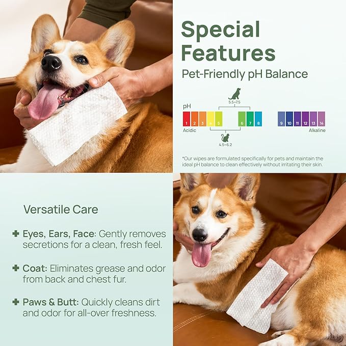HICC PET Wipes for Dogs & Cats, Vet Recommended Cleansing Deodorizing & Soothing Allergy Infections Anal Gland Wipes with Coconut Oil, Dog Wipes for Cleaning Butt Paw, for Horse Skin, Coat & Hoof Care