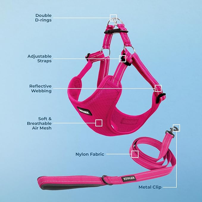 Best Pet Supplies Voyager Mesh Dog Breathable Harness Reflective Stitching, All Weather Adjustable for Walking Training, or Running - Heavy Duty & Durable, Harness Leash Set (Fuchsia), M