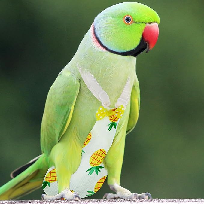 Bird Diaper Parrot Flight Suite with Flying Leash, Bird Clothes for Parrots, Conures, Monk Parakeets, Quaker Parrots, Green-Cheeked Conure, Black-Headed Caique, Chick, Ducks (Medium)