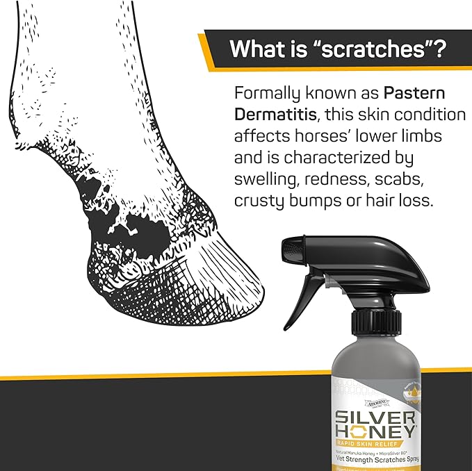 Silver Honey Rapid Relief 6oz Spray for Horses Only, Use for Equine Scratches/Pastern Dermatitis/Mud Fever/Dew Poisoning/Cracked Heels