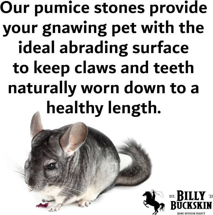 Chew Toys for Chinchilla, Lava Block Toys for Small Pet Animals like Rat, Mice, Bunny, Hamster, Degus, Gerbils, Pumice Blocks, Guinea Pig Toy, Rabbit Chew Toy by Billy Buckskin - Pack of 8
