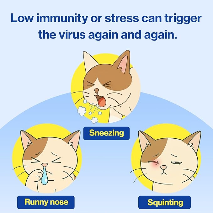 Doctor By FELYSIN L-lysine for Cats Lysine Supplements Immune Support Allergy Relief Sneezing Runny Nose Watery Eyes Respiratory Treatment with Beta-glucan, 30 Lickable Formula Individually Packaged