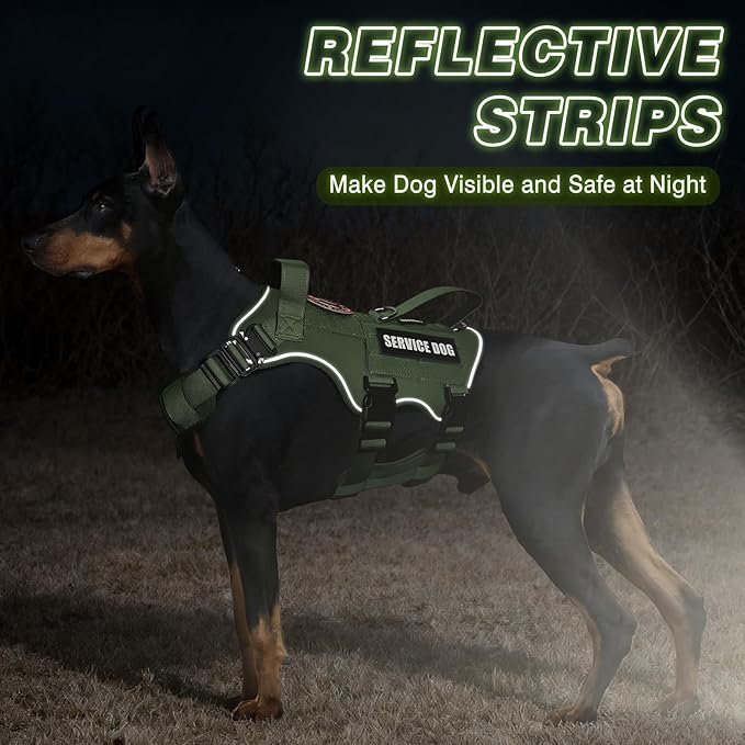 Tactical Service Dog Vest Harness and Leash Set,Heavy Duty Dog Harness with Metal Buckles for Medium Sized Dogs,Adjustable No Pull Pet Vest with Patches for Training Working Hiking,Green M