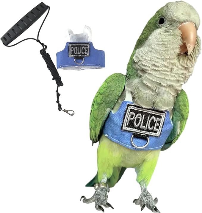 Bird Flight Harness Vest, Parrot Flight Suit with Leash, Bird Flying Clothes with Rope and Handle for Outdoor Activities (with Leash,Senegal)