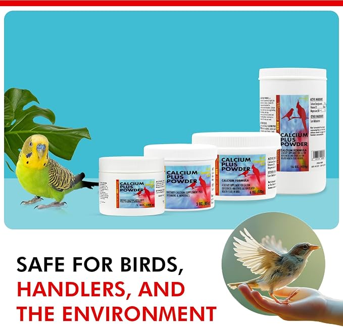 Morning Bird Calcium Plus Powder for Birds 6 oz – Calcium Supplement with Vitamin & Protein Powder – Supports Bone Health, Muscle Function & Digestive Balance – Easy-to-Mix Calcium Formula