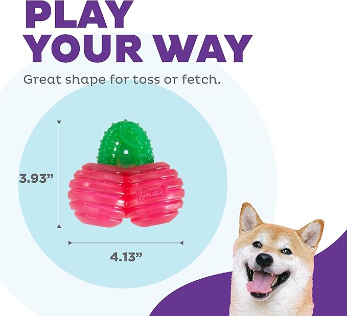 Outward Hound Gummiez Cherries 2-in-1 Dental Dog Chew Toy and Dog Treat Stuffer Game, Cherry Scent, Red