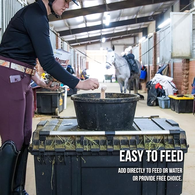 MagnaLyte Loose Salt and Electrolytes for Horses by Eagle Equine | Mineral sea Salt, Trace Minerals, Electrolytes | 4 lb Bag