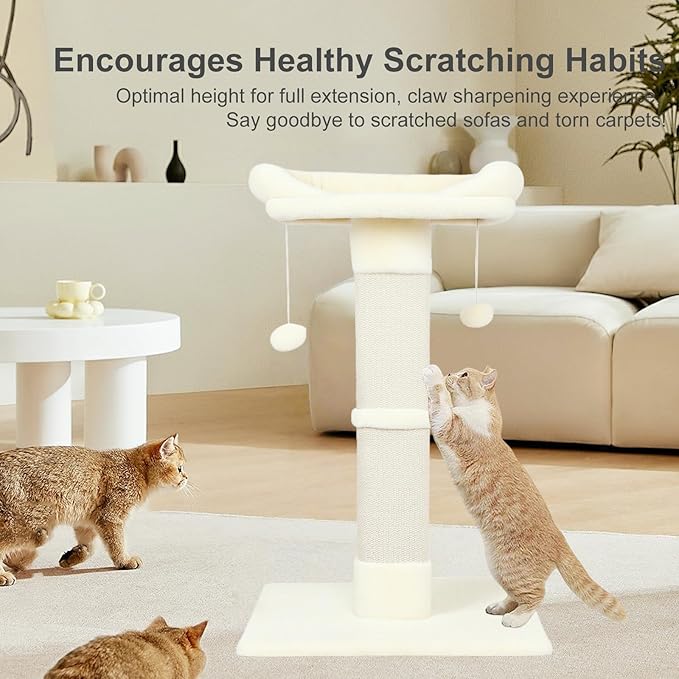 34" Cat Scratching Post for Indoor Cats, Sisal Cat Scratcher with Plush Perch and with Two Dangling Balls, Large Scratch Post with Bed, Removable Cover, Sisal Fabric