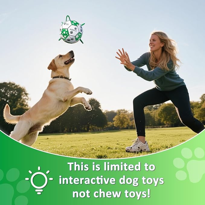 Size 3 Interactive Dog Football with Strap, White & Green, Eye-Catching Star and Paw Print Design, Ideal Outdoor Training Pet Toy, Perfect Choice for Medium & Large Dogs' Playtime
