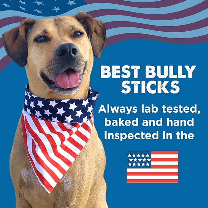 Best Bully Sticks 6 Inch Jumbo Bully Sticks for Dogs - 12 Count (Pack of 1) - Natural Grass-Fed Beef, Single Ingredient, Grain and Rawhide Free Chew, Large Breeds