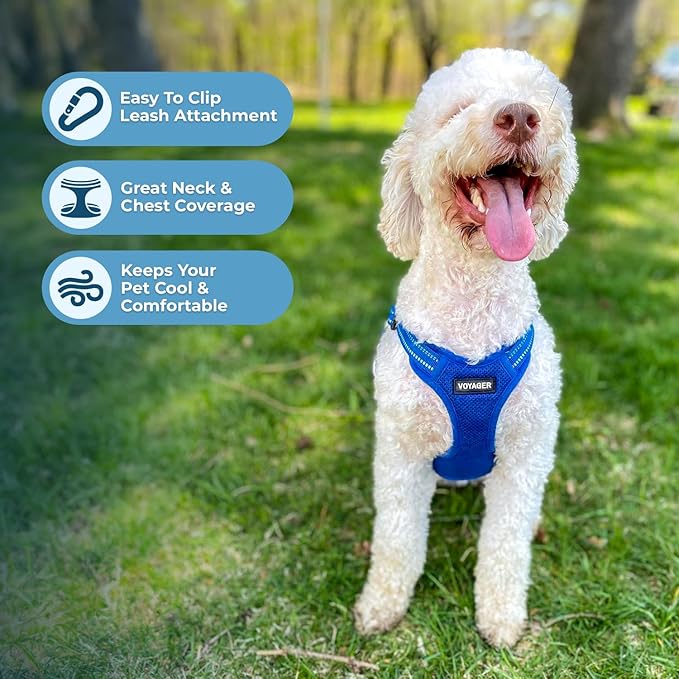 Best Pet Supplies Voyager Mesh Dog Breathable Harness Reflective Stitching, All Weather Adjustable for Walking Training, or Running - Heavy Duty & Durable, Harness (Royal Blue), XL