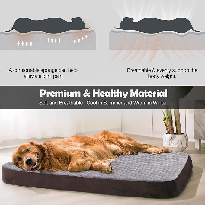 JoicyCo Dog Beds for Medium Dogs, Orthopedic Foam Dog Beds, Joint Relief Pets Sleeping Mattress, Non Slip Bottom with Washable Removable Cover, Grey