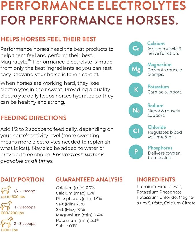 MagnaLyte Loose Salt and Electrolytes for Horses by Eagle Equine | Mineral sea Salt, Trace Minerals, Electrolytes | 20 Pound Bucket