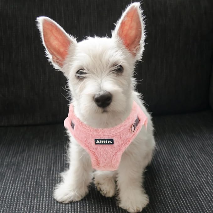 AIITLE Step in Dog Harness and Leash Set - Warm and Cozy Dog Vest Harness with Magic Tape Design, Reflective No-Pull Plush Pet Harness for Outdoor Walking, Training for Small Dogs, Cats Pure Pink XXS
