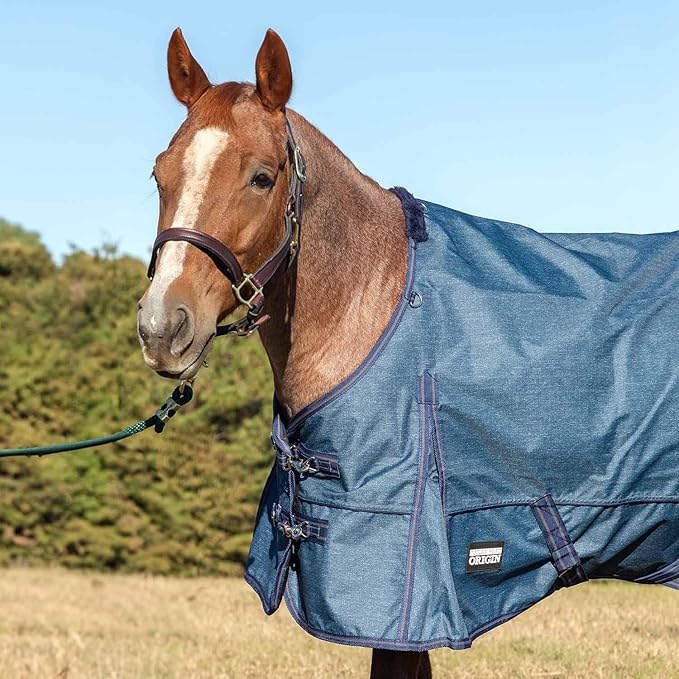 Jeffers Poplar Head 600 Denier Turnout Sheet for Horses, 0g Polyfill, 66"- Waterproof, Windproof Lightweight Horse Blanket, Adjustable Chest Belly Straps, Tail Flap, Stable Blanket - Blue Jean Baby