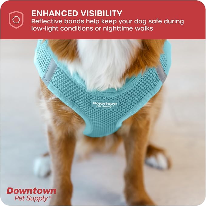 Downtown Pet Supply Step-in Dog Harness – No Pull, Adjustable Padded Mesh with Reflective Trim, Secure Buckle Strap – Comfortable & Breathable Small Dog Harness, Medium, Light Blue