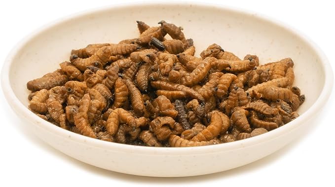 6 Pack Canned Black Soldier Fly Larvae for Reptiles, Fish, Birds and Small Animals, BSF, Healthy High Protein Treat, Reptile Bird Fish Food 7.2 Ounces Total