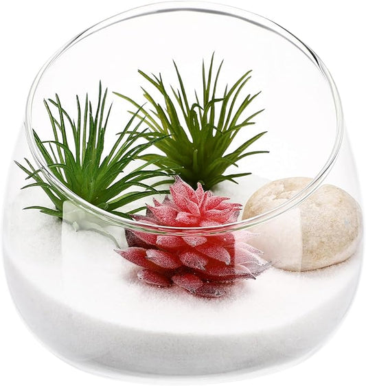 DOITOOL Slant Cut Bowl Glass Vase, Clear Terrarium Bowl Candy Dish Fruit Jar, 4.7" W x 4" H, Small Round Planter Table Centerpiece, Use for Succulents, Cacti, Air Plants, Moss, Terrariums, Candy