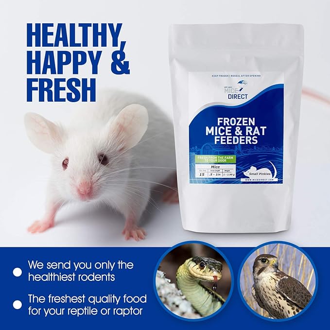 MiceDirect 15 Jumbo Rats: Fresh Fast Frozen Food for Corn Snakes Ball Pythons