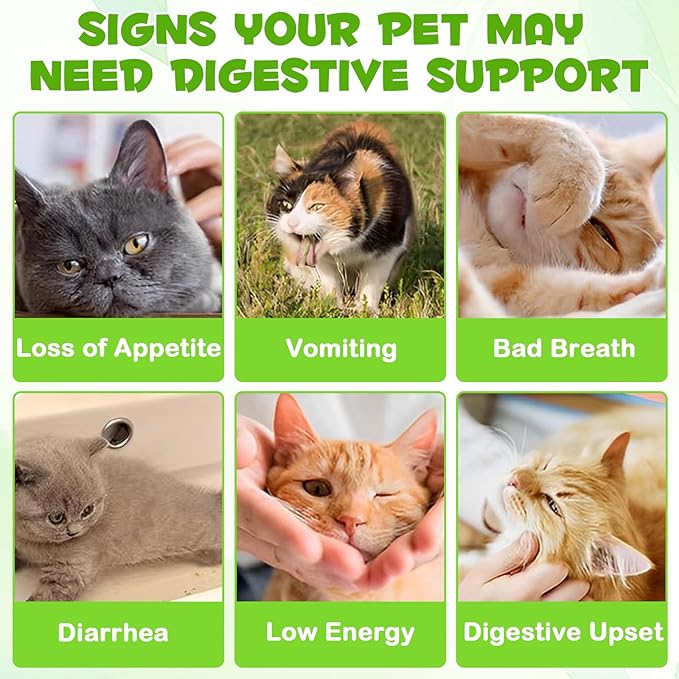 Probiotic for Cats, Natural 3 in 1 Cat Probiotic Drops Helps to Relieve Diarrhea, 60ml for Cats of All Ages, Supports Gut Health, with Digestive Enzymes & Prebiotics Liquid Supplement