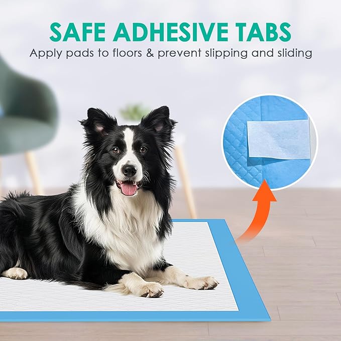 JollyMate Dog Pee Pads Extra Large 36"x36", 50 Pack X-Large Super Absorbent Pet Training Pads with Adhesive Tabs, 6 Layers Thick Leak-Proof Potty Pads for Dogs and Puppies