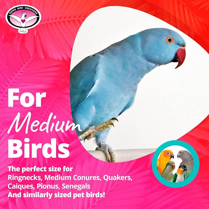 Super Bird Creations SB687 Firecracker Jr. Bird Toy - Foraging Chewing Swinging Toy for Parrots, Conures, Quakers, Pionus, Senegals - Natural Paper Shred Palm Leaves - Medium Birds, Size: 18" x 8"