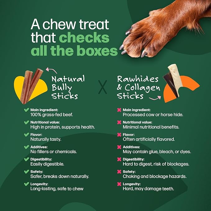 Willow&I Bully Sticks for Dogs -12 Inch Natural Bully Sticks for Medium, Large & Small Dogs- Premium 100% Grass Fed, Single Ingredient, Long Lasting, High Protein, Odor Free (12", 5 Pack)
