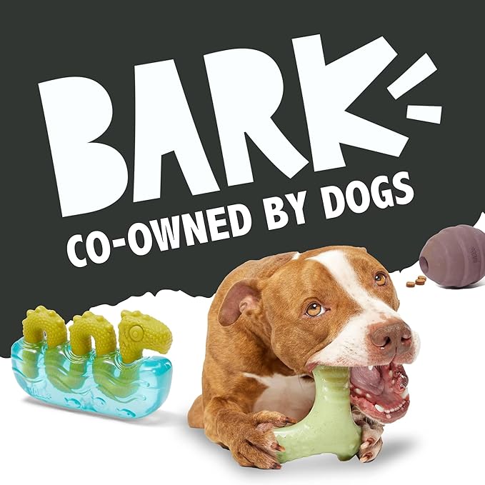 Barkbox Super Chewer Tough Dog Chew Toys for Aggressive Chewers, Dental Stimulating (Bacon Bone - Small)