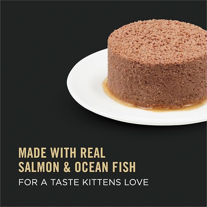 Purina Pro Plan Wet Kitten Food Pate, Salmon and Ocean Fish Entree - (Pack of 24) 3 oz. Pull-Top Cans